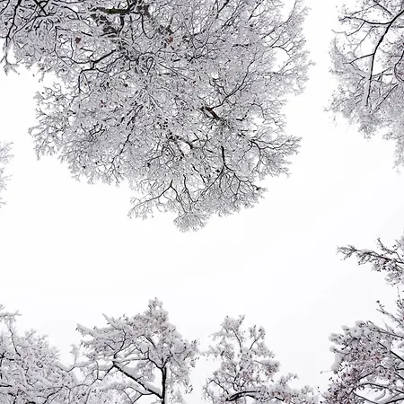 The Edition - Luxury & Style